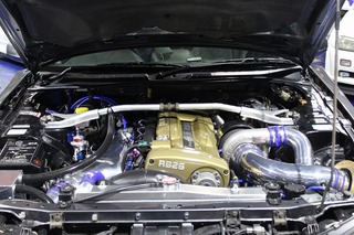 IMG_0521.jpg