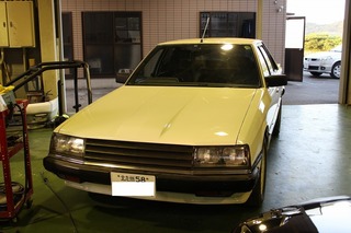 IMG_9800.jpg